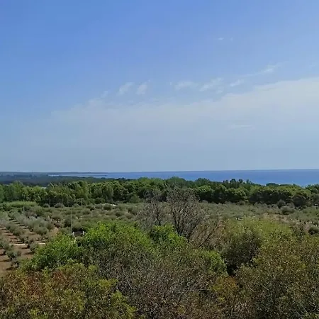Apartment Affittasardegna - I Pini Di Osalla